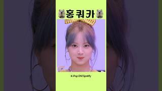 [르세라핌/홍은채]행복한 홍쿼카