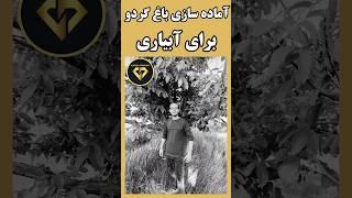 پیشرفت در کار