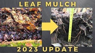 Leaf Mulch 2023 Update!