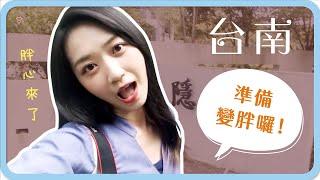  台南VLOG！變胖啦！爆吃一波台南！吃相還超醜｜阿心