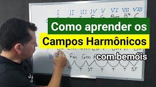 Campos Harmônicos com bemóis - a ordem certa de aprender