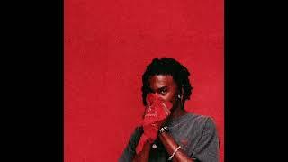 Whole Lotta Red - Playboi Carti (WLR V1)