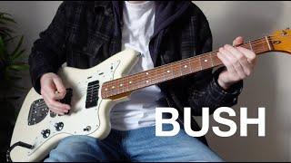 11 Bush Songs/Riffs