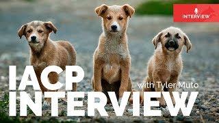 IACP interview with Tyler Muto