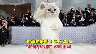 "时尚界奥斯卡"Met Gala "老佛爷的猫"闪耀全场