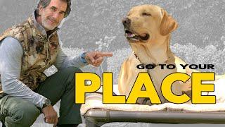 Teach Your DOG The PLACE Command - Go To Your Place - Robert Cabral Dog Training Video