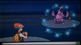 {LIVE!} Shiny Heracross on Diamond after 31,544 SRs!