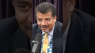 Neil DeGrasse Tyson on the essence of ART / Starry Night #joerogan #shorts