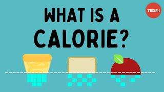 What is a calorie? - Emma Bryce