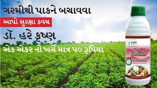 ઉત્પાદન વધારવા માટે ખાસ ગરમીથી પાકને બચાવવા માટે અપનાવો આ નવીન ટેક્નિક