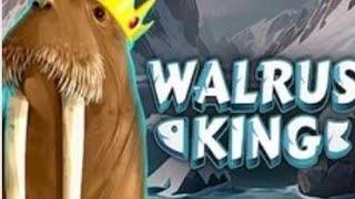 Walrus King (Octoplay)  How I Turned My Online Casino Losses into Wins 