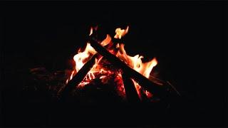 Best Virtual Campfire  Cozy Fire  Fire Crackling With Ambient Relaxing Music