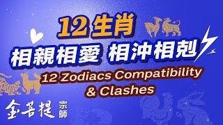 12 Zodiacs: Compatibility and Clashes