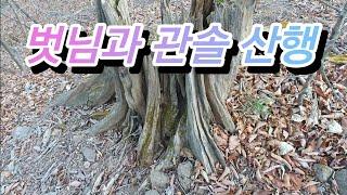 [약초]벗님과 관솔 산행