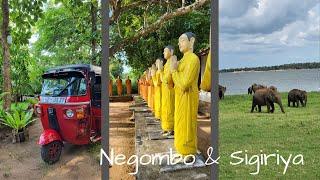 Vlog 14 - Backpacking Sri Lanka // Negombo & Sigiriya