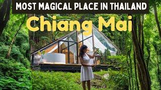 Chiang Mai : Explore the Beauty of North Thailand | Top Things to Do in the Most Enchanting Place