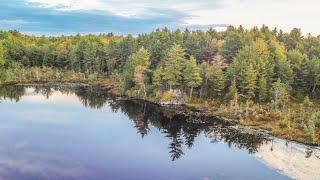 Bear Pond | Peace and Seclusion at Beautiful Property For Sale in Maine