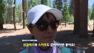 세쿼이아 내셔널 포레스트 Sequoia National Forest (2)