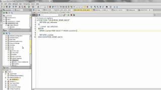 Oracle SQL Developer Major Feature Demonstration