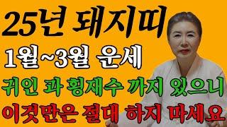 돼지띠 25년 삼재이지만 귀인 횡재수까지 있으니 나이별로 이것만은 절대 하지마세요! #돼지띠운세 #사주