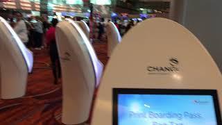 Changi Airport Self Check in service