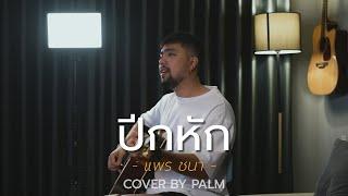 ปีกหัก - PRAE CHANAA (Cover by Palm)