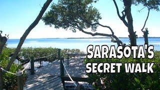 Secrets of Sarasota Bay: Tidy Island Private Nature Walk with Jim - Discover Hidden Gems! 