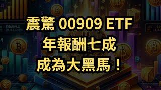 【ETF市場】2024年度績效冠軍揭秘｜00909比特幣ETF驚人報酬「成長背後的秘密」