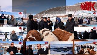 Erzurum Çat Mal meydanı - Çat Hayvan Pazarı