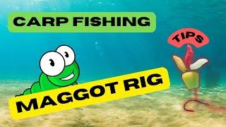The Secret to Catching Big Carp with the Maggot Rig - a Beginner's Guide to Carp Fishing