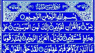 Surah Yaseen Surah Rahman || Best Qur'an Recitation || Surah Yasin full Tilawat || Surah Mulk