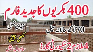 400 bakrion ka kamyab or jadeed goat  farm ||successful and modern goat farm of 400 goats in pakistn