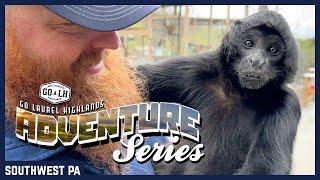 GO Laurel Highlands Adventure Series - Living Treasures Wild Animal Park - Log Cabin Lodge & Suites