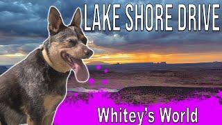 Exploring Lake Shore Drive | Things to do near Page Arizona | Whitey's World