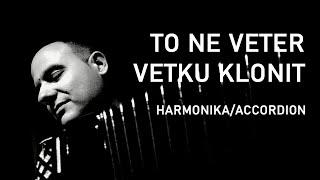 Vlada Veselinović: TO NE VETER VETKU KLONIT [harmonika / аккордеон / accordion / instrumental]