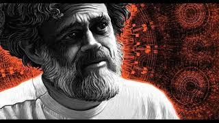 Terrence McKenna - Go it Alone