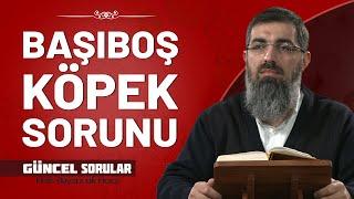 Başıboş Sokak Köpekleri ile Alakalı Çözüm Nedir? | Halis Bayancuk Hoca