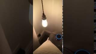 Alexa Controlled Smart Lights+More