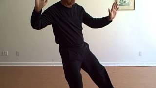 George Kikuta Tai Chi (Slow)Yang Style太極拳　楊式