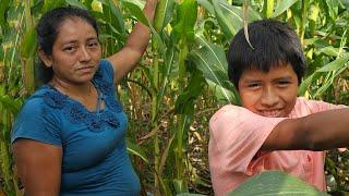 Vamos avanzando en la casa de Wendy. Nos falta puertas y ventanas. Meson listo.