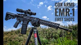 Watch The Cox Arms Usa Emr-1 In Action - First Shots Fired!