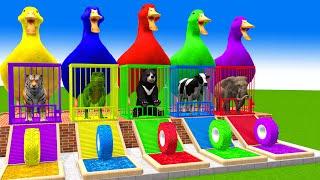 5 Giant Duck Cartoon,Cow,Elephant,Dinasaur,Tiger,Bear Paint Wild Animals Crossing Fountain Animation