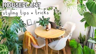 Amazing Plant Styling TIPS + TRICKS To Jungle-fy Your Home 