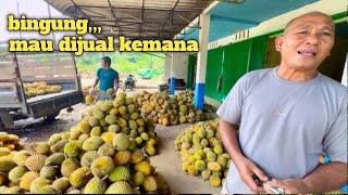 Penampakan kampung dayak dengan hasil duriannya yang menggunung
