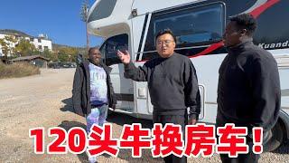 120头牛换房车！非洲保镖第一次见房车，当场目瞪口呆：卖给我吧