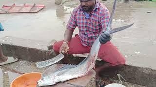 மயில் மீன் 150kg 