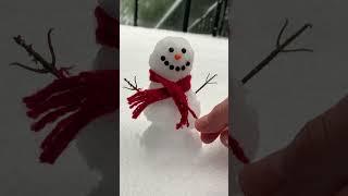 Mini Snowman - How to Build a REAL Tiny Snowman 