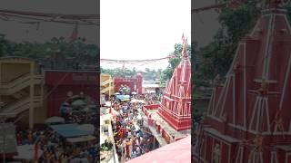 vidyapati Dham #VidyapatiDham #shortvideo #ytshorts #shorts #short