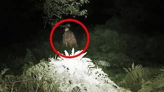 15 SCARIEST Camping Encounters Caught On Camera