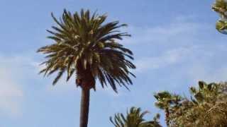 Thomas Bartels - Los Angeles ich unterwegs in Santa Monica. Dienstag, 29. März 2011